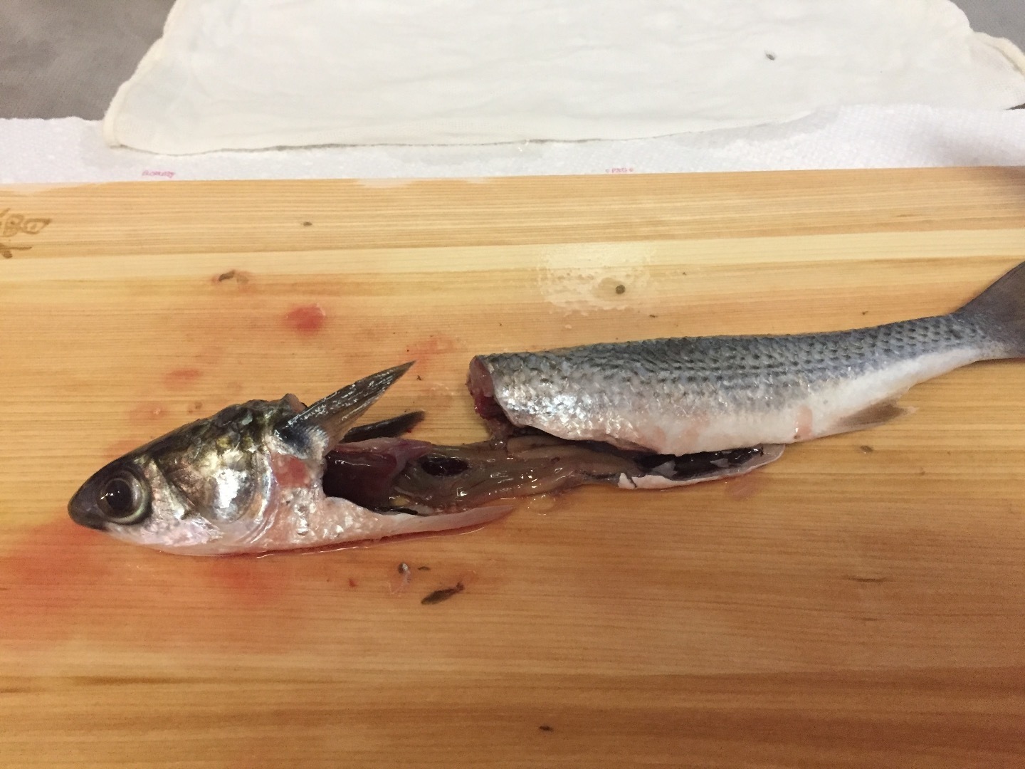 碧南ボラを食べてみる 初心者の 初心者による 初心者のための海釣りブログ